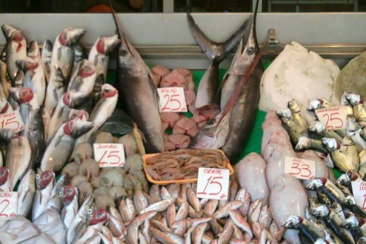 duru balik mimaroba telefon